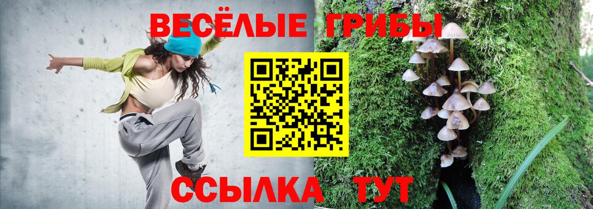 Галлюциногенные грибы Psilocybe  Вход с VPN  Мурино 