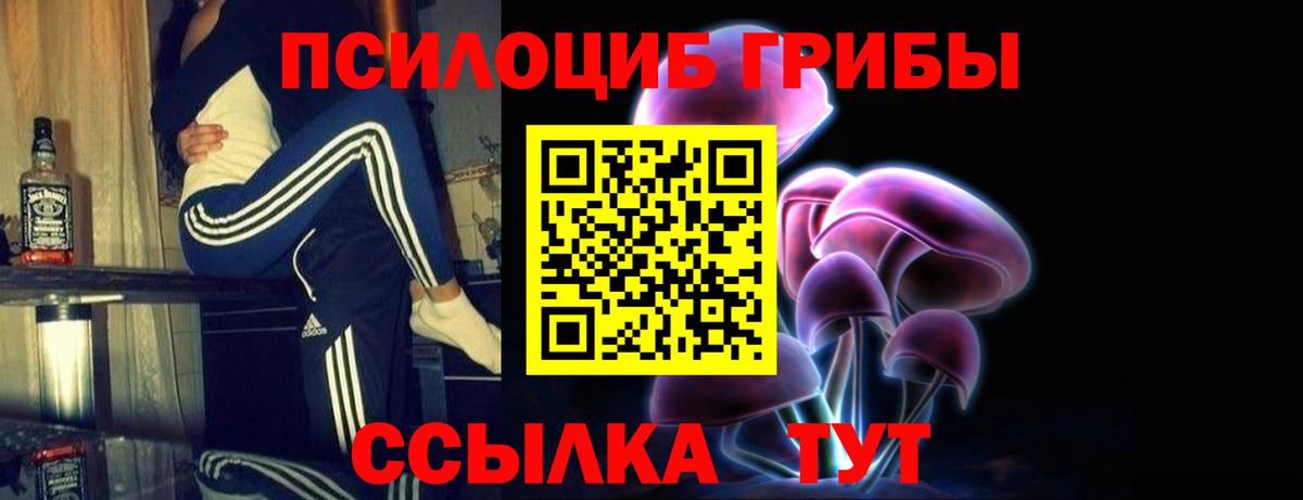 Псилоцибиновые грибы мухоморы Мурино